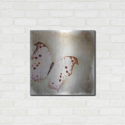 Luxe Metal Art 'Floating Butterfly II' by Debra Van Swearingen, Metal Wall Art,24x24