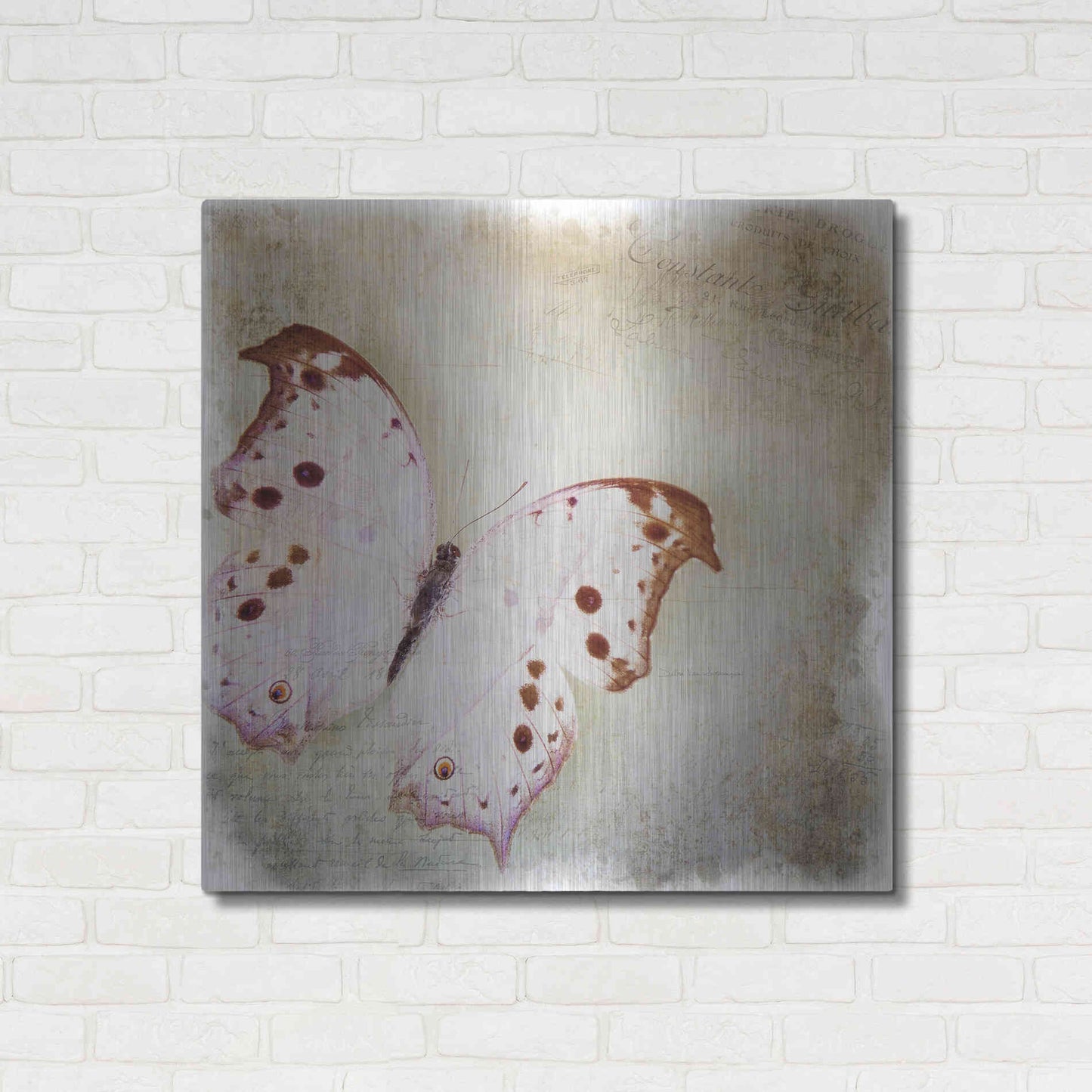 Luxe Metal Art 'Floating Butterfly II' by Debra Van Swearingen, Metal Wall Art,36x36