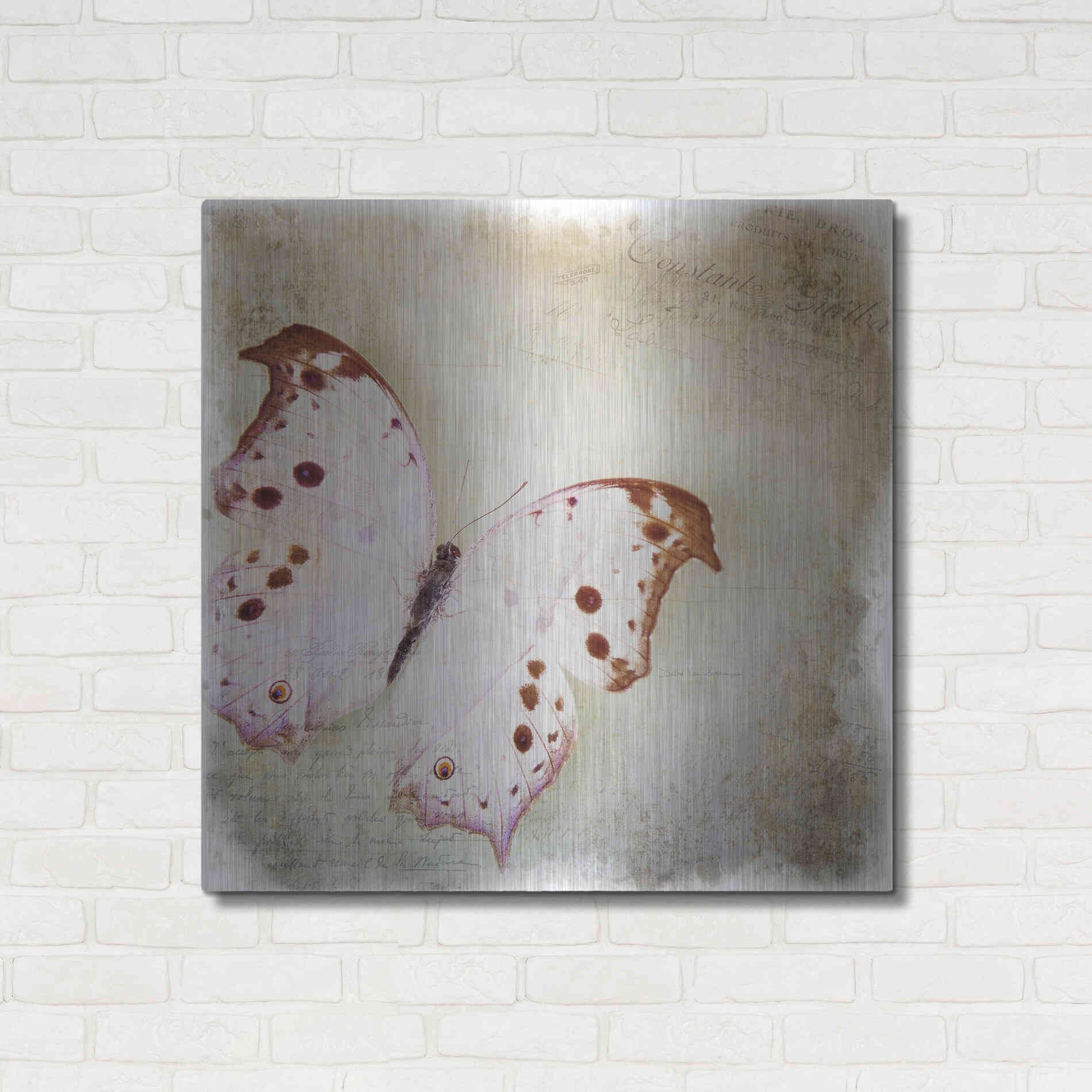 Luxe Metal Art 'Floating Butterfly II' by Debra Van Swearingen, Metal Wall Art,36x36
