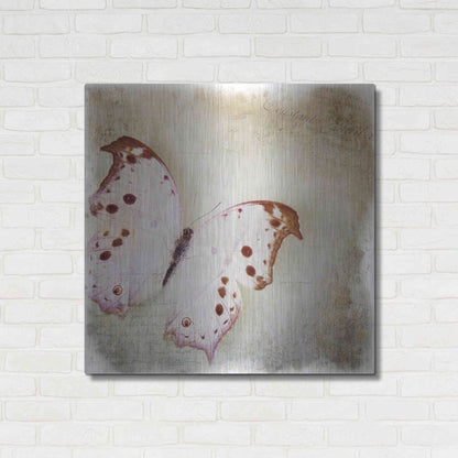 Luxe Metal Art 'Floating Butterfly II' by Debra Van Swearingen, Metal Wall Art,36x36