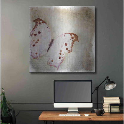 Luxe Metal Art 'Floating Butterfly II' by Debra Van Swearingen, Metal Wall Art,36x36