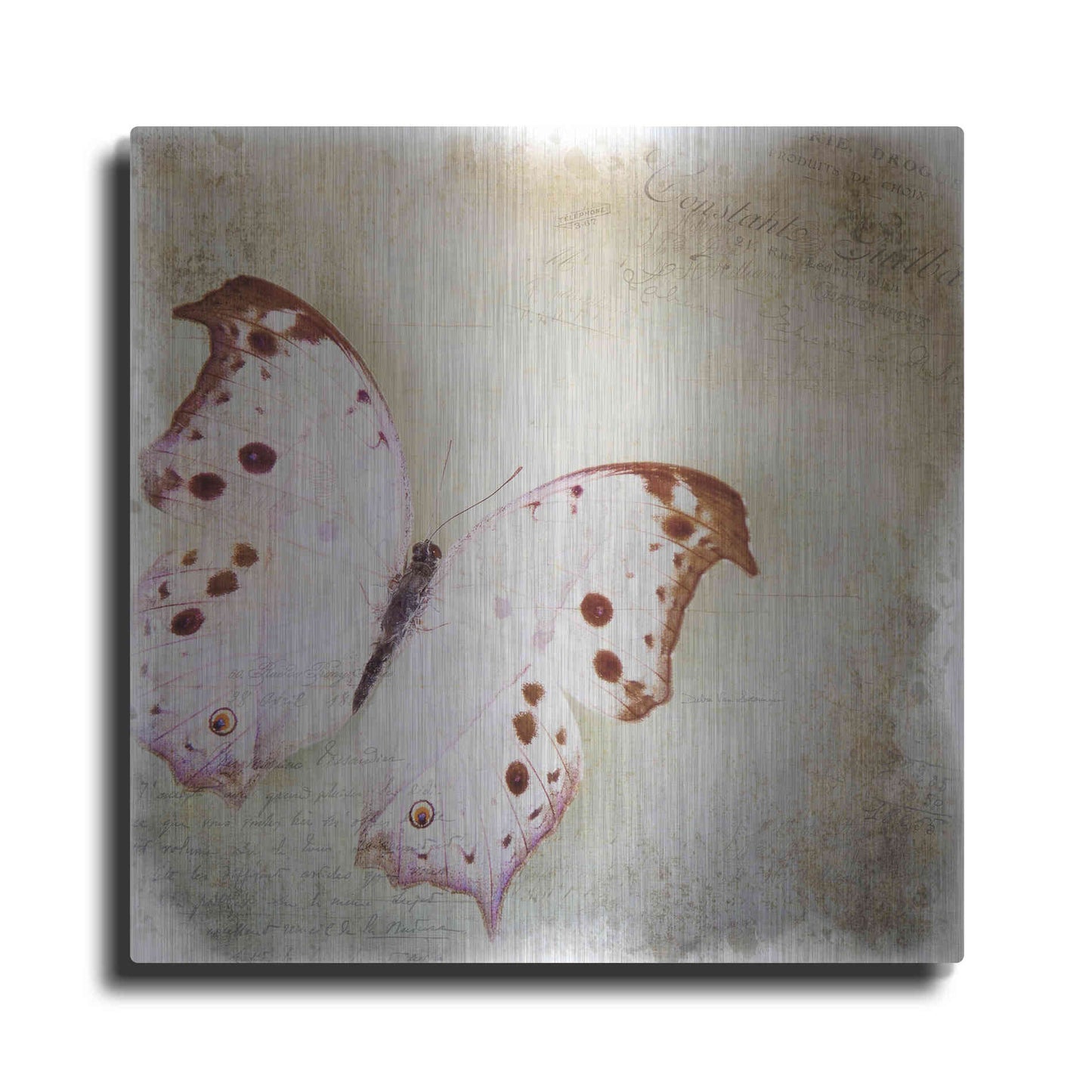 Luxe Metal Art 'Floating Butterfly II' by Debra Van Swearingen, Metal Wall Art