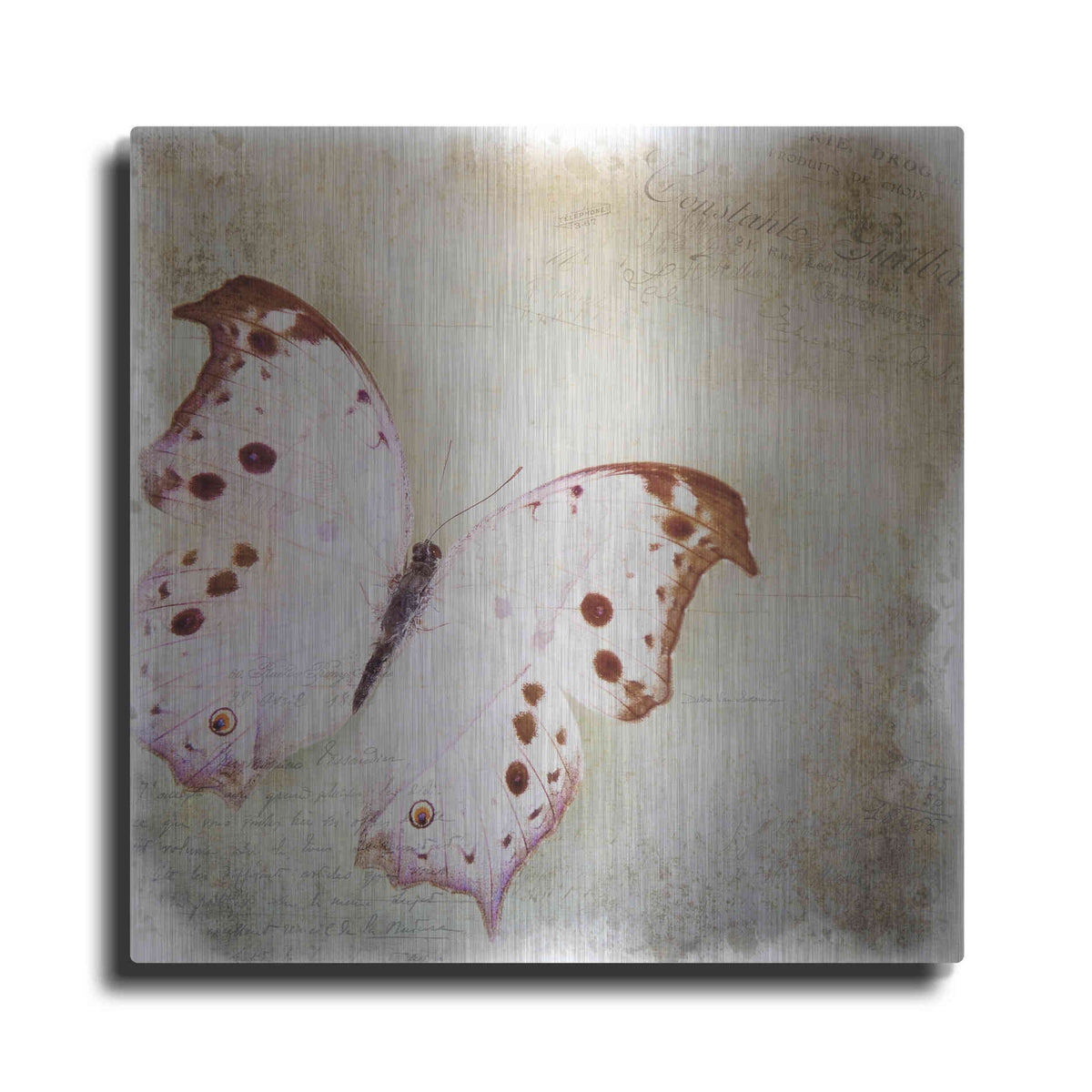 Luxe Metal Art 'Floating Butterfly II' by Debra Van Swearingen, Metal Wall Art