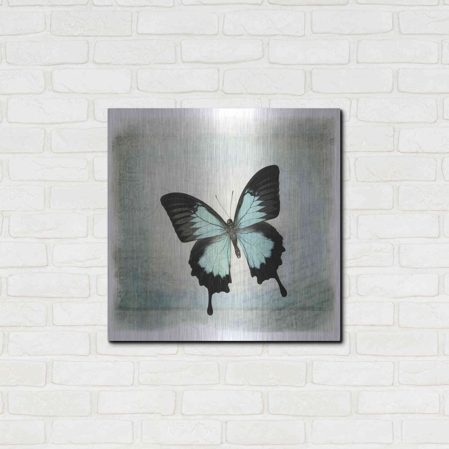 Luxe Metal Art 'Floating Butterfly III' by Debra Van Swearingen, Metal Wall Art,24x24