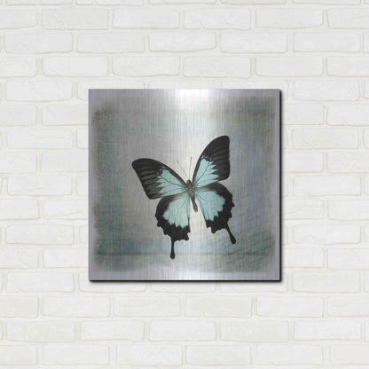 Luxe Metal Art 'Floating Butterfly III' by Debra Van Swearingen, Metal Wall Art,24x24