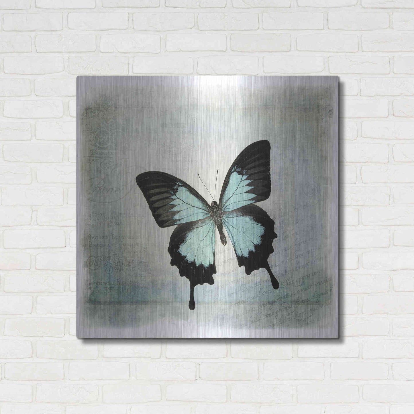Luxe Metal Art 'Floating Butterfly III' by Debra Van Swearingen, Metal Wall Art,36x36