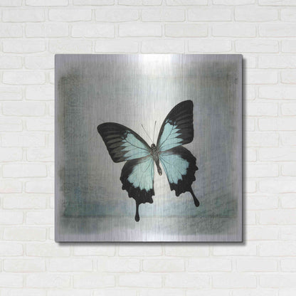 Luxe Metal Art 'Floating Butterfly III' by Debra Van Swearingen, Metal Wall Art,36x36