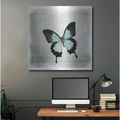 Luxe Metal Art 'Floating Butterfly III' by Debra Van Swearingen, Metal Wall Art,36x36