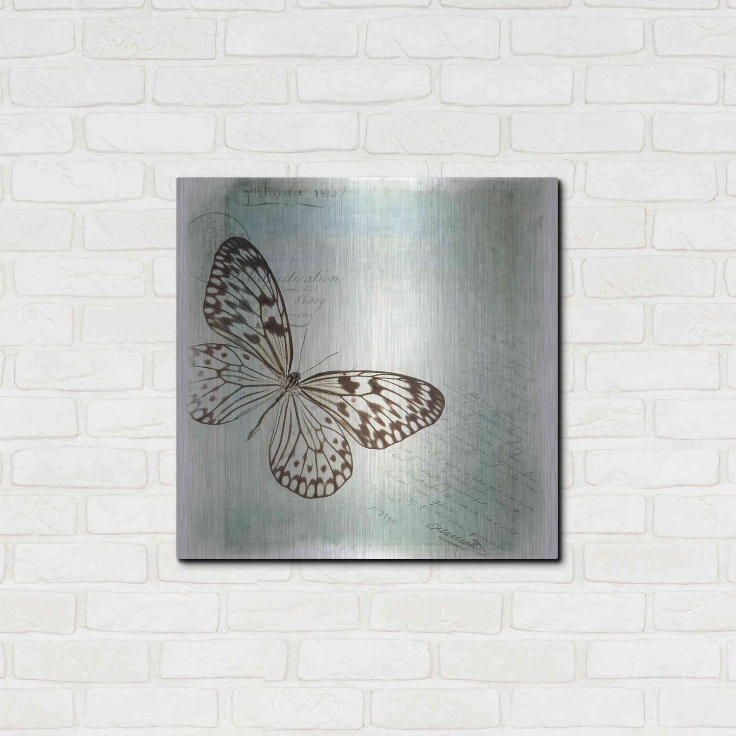 Luxe Metal Art 'Floating Butterfly IV' by Debra Van Swearingen, Metal Wall Art,24x24