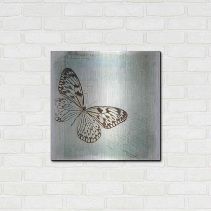 Luxe Metal Art 'Floating Butterfly IV' by Debra Van Swearingen, Metal Wall Art,24x24