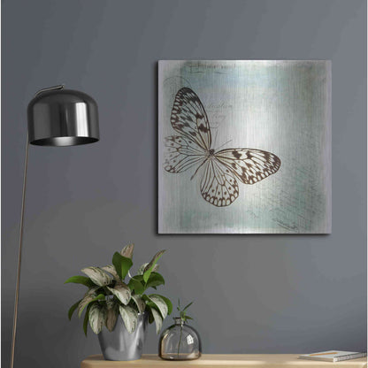 Luxe Metal Art 'Floating Butterfly IV' by Debra Van Swearingen, Metal Wall Art,24x24