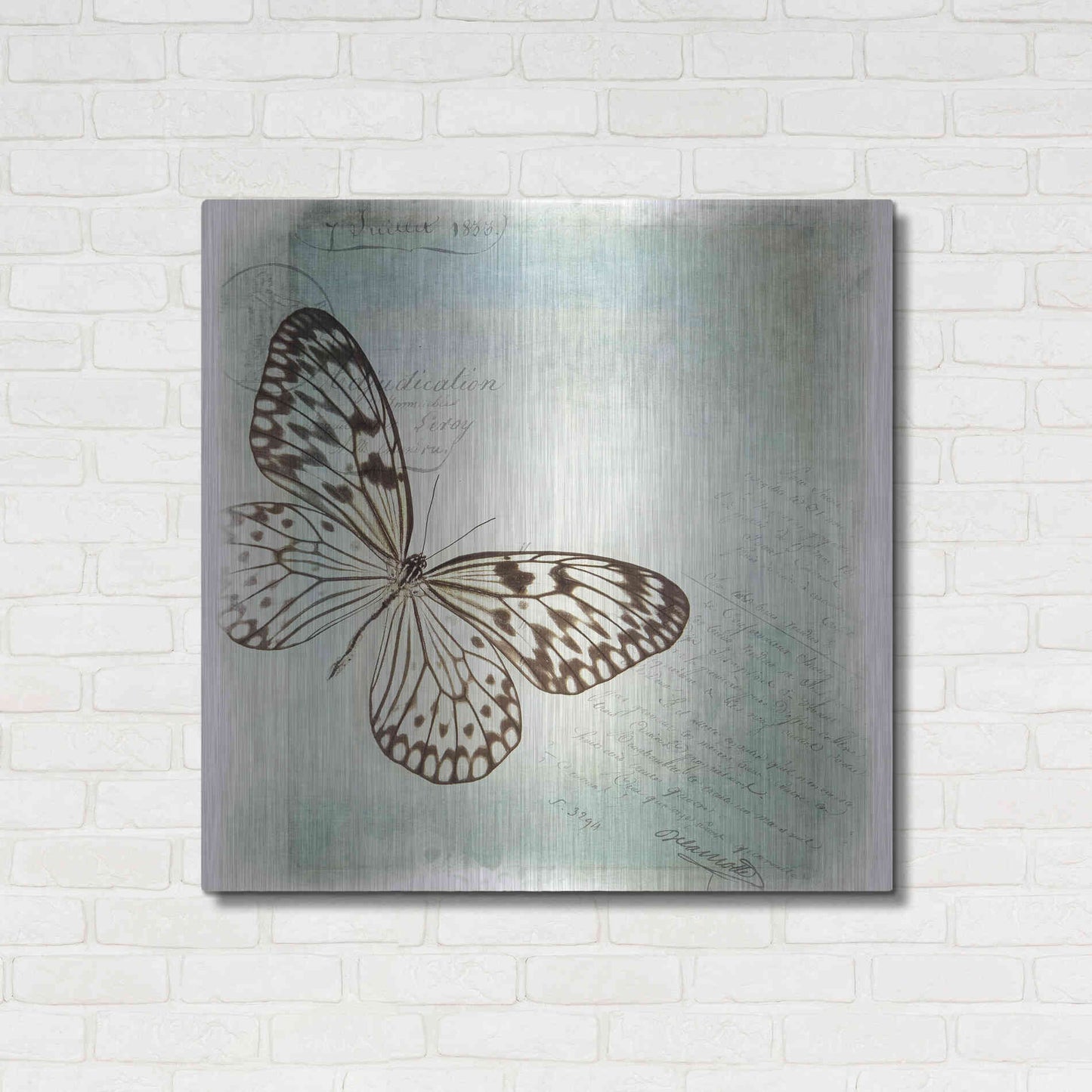 Luxe Metal Art 'Floating Butterfly IV' by Debra Van Swearingen, Metal Wall Art,36x36