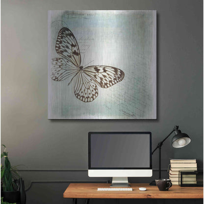 Luxe Metal Art 'Floating Butterfly IV' by Debra Van Swearingen, Metal Wall Art,36x36