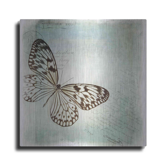 Luxe Metal Art 'Floating Butterfly IV' by Debra Van Swearingen, Metal Wall Art