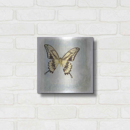 Luxe Metal Art 'Floating Butterfly V' by Debra Van Swearingen, Metal Wall Art,12x12
