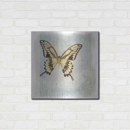 Luxe Metal Art 'Floating Butterfly V' by Debra Van Swearingen, Metal Wall Art,24x24