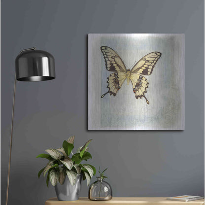Luxe Metal Art 'Floating Butterfly V' by Debra Van Swearingen, Metal Wall Art,24x24