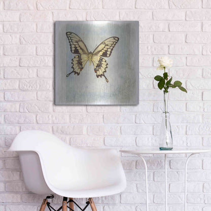Luxe Metal Art 'Floating Butterfly V' by Debra Van Swearingen, Metal Wall Art,24x24