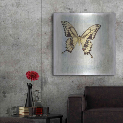 Luxe Metal Art 'Floating Butterfly V' by Debra Van Swearingen, Metal Wall Art,36x36