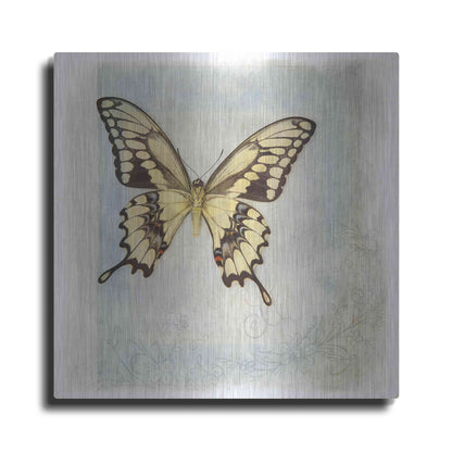 Luxe Metal Art 'Floating Butterfly V' by Debra Van Swearingen, Metal Wall Art