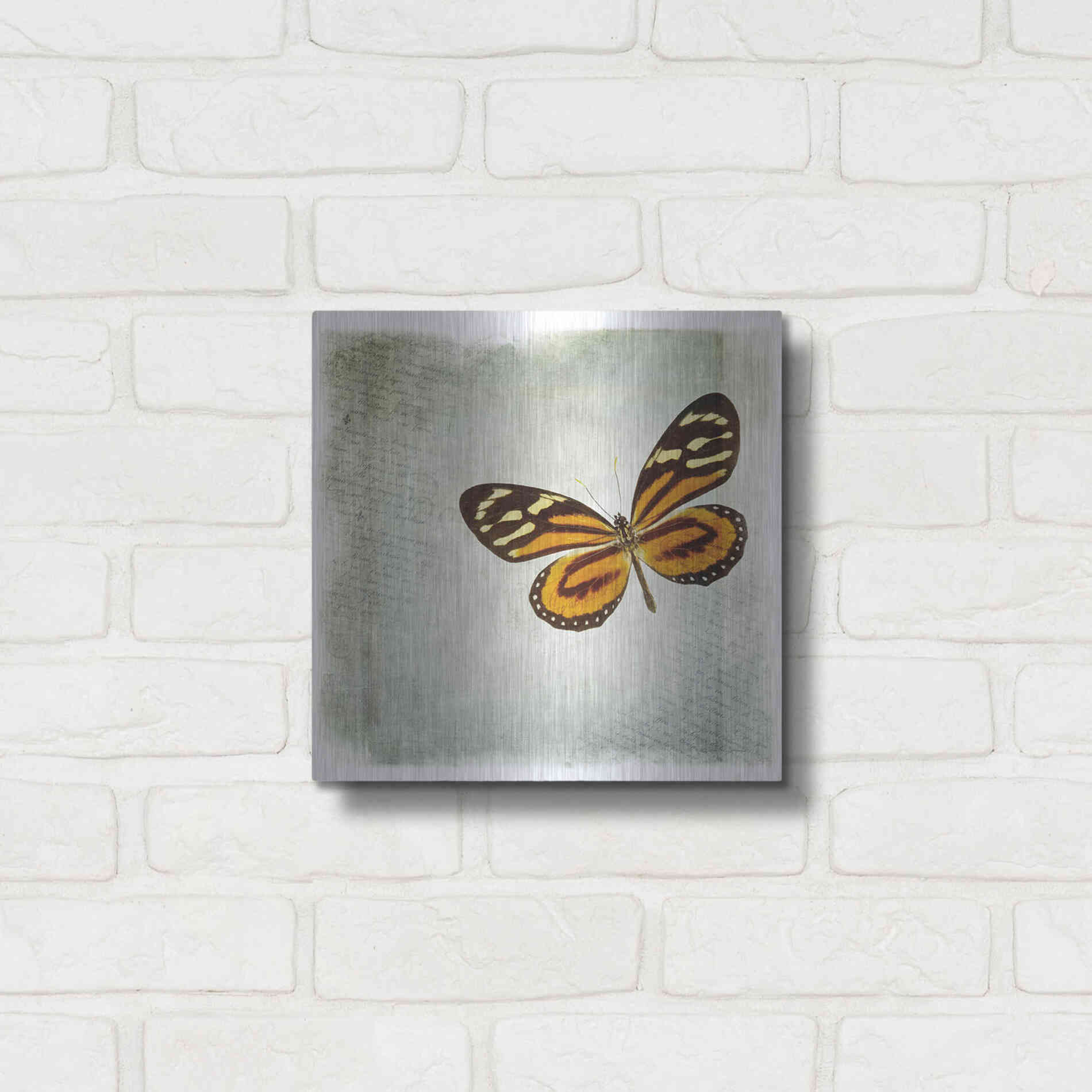 Luxe Metal Art 'Floating Butterfly VI' by Debra Van Swearingen, Metal Wall Art,12x12