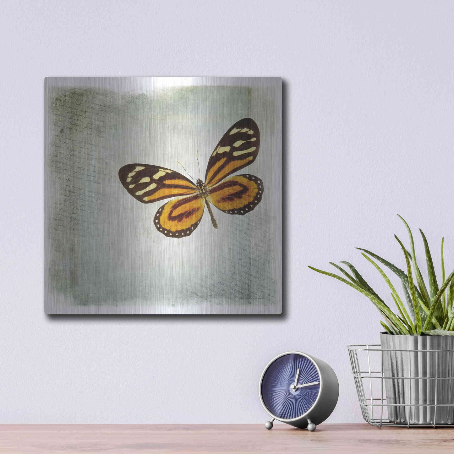 Luxe Metal Art 'Floating Butterfly VI' by Debra Van Swearingen, Metal Wall Art,12x12