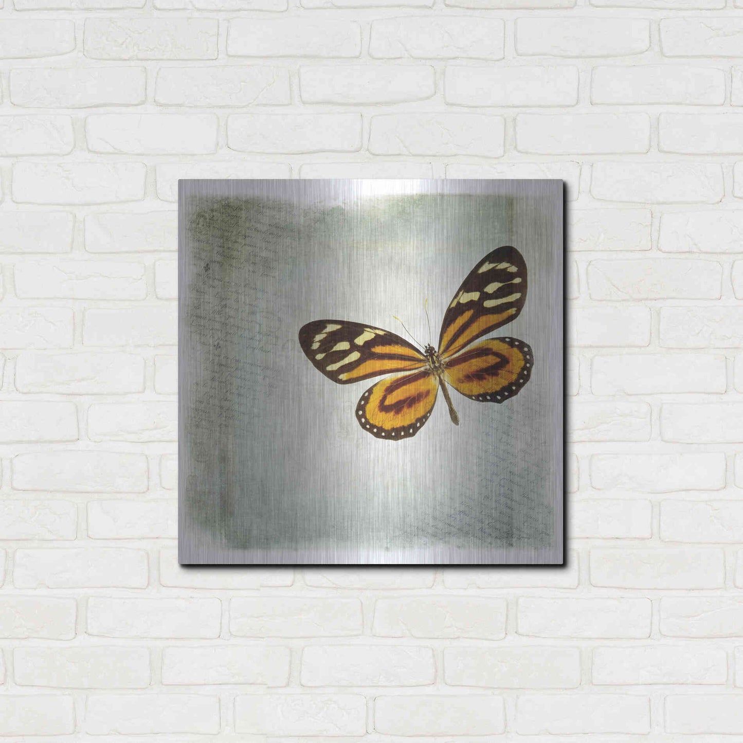 Luxe Metal Art 'Floating Butterfly VI' by Debra Van Swearingen, Metal Wall Art,24x24