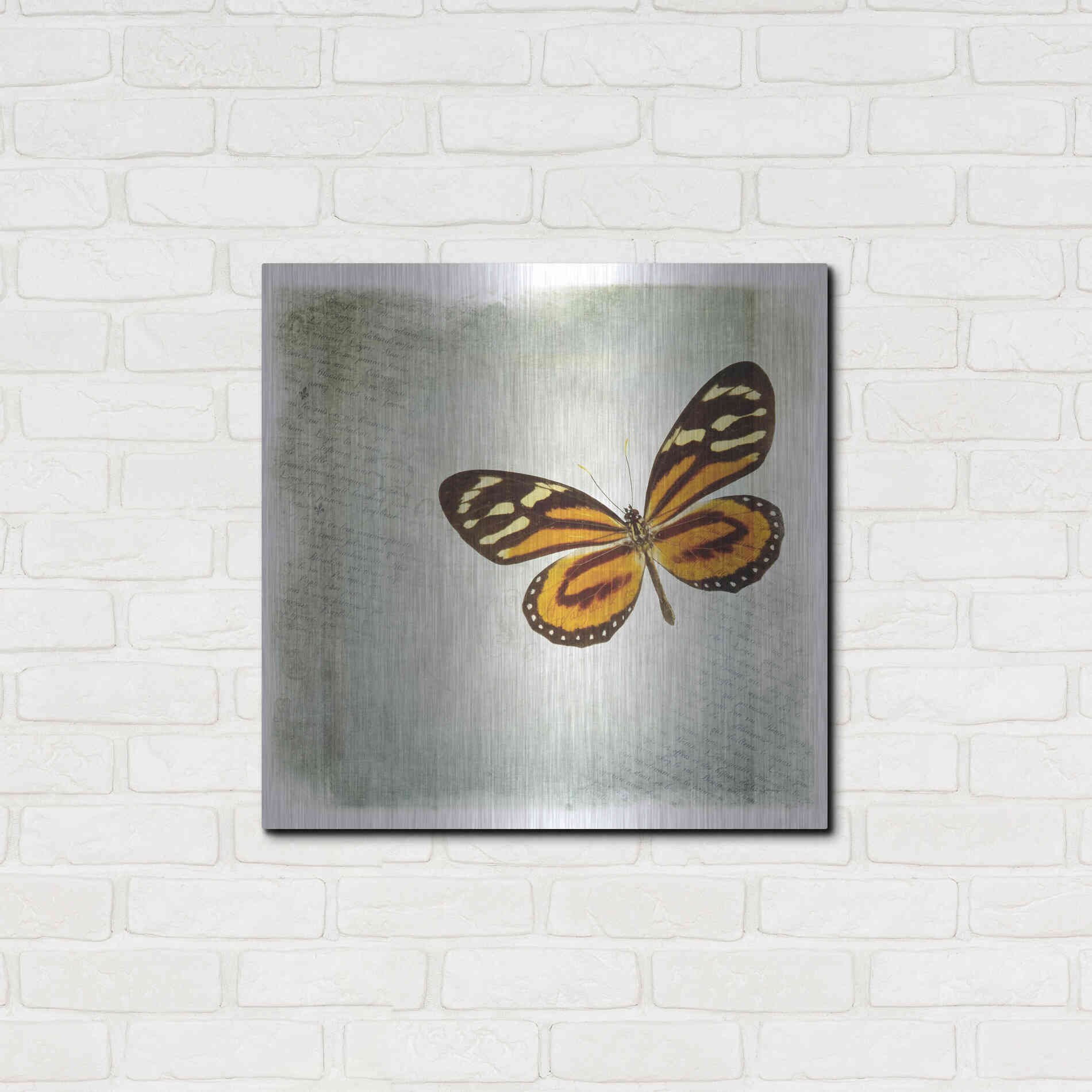 Luxe Metal Art 'Floating Butterfly VI' by Debra Van Swearingen, Metal Wall Art,24x24