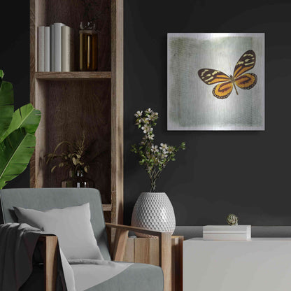 Luxe Metal Art 'Floating Butterfly VI' by Debra Van Swearingen, Metal Wall Art,24x24
