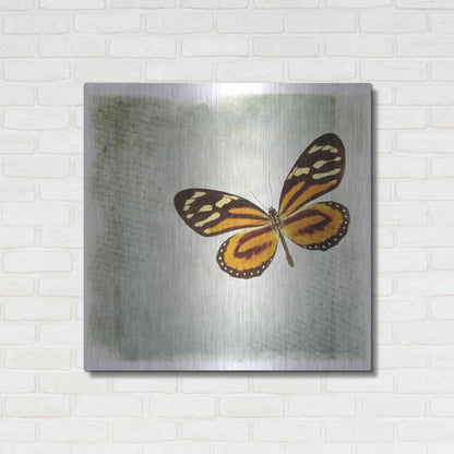Luxe Metal Art 'Floating Butterfly VI' by Debra Van Swearingen, Metal Wall Art,36x36