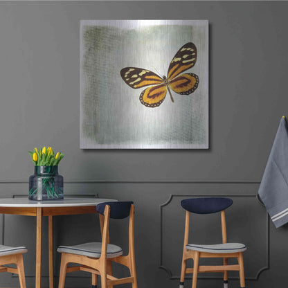 Luxe Metal Art 'Floating Butterfly VI' by Debra Van Swearingen, Metal Wall Art,36x36