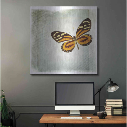 Luxe Metal Art 'Floating Butterfly VI' by Debra Van Swearingen, Metal Wall Art,36x36