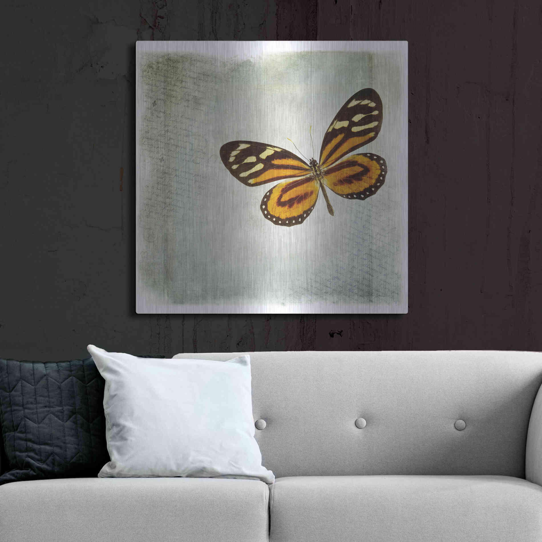 Luxe Metal Art 'Floating Butterfly VI' by Debra Van Swearingen, Metal Wall Art,36x36