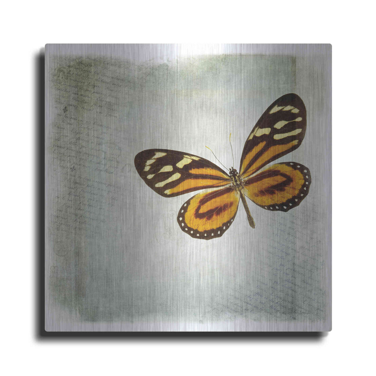 Luxe Metal Art 'Floating Butterfly VI' by Debra Van Swearingen, Metal Wall Art