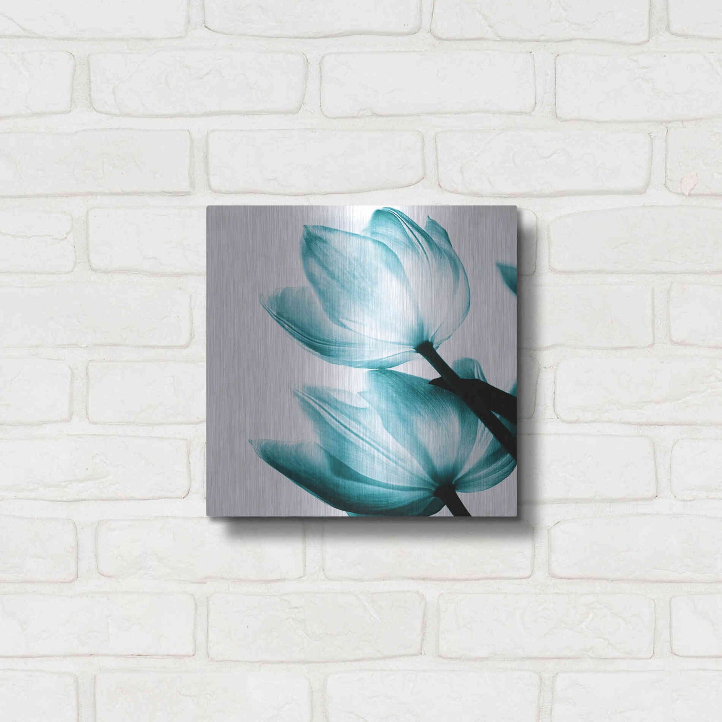 Luxe Metal Art 'Translucent Tulips II Teal' by Debra Van Swearingen, Metal Wall Art,12x12