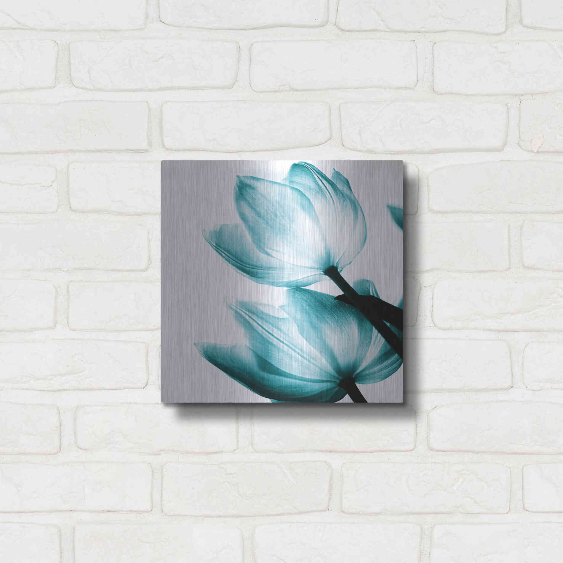 Luxe Metal Art 'Translucent Tulips II Teal' by Debra Van Swearingen, Metal Wall Art,12x12