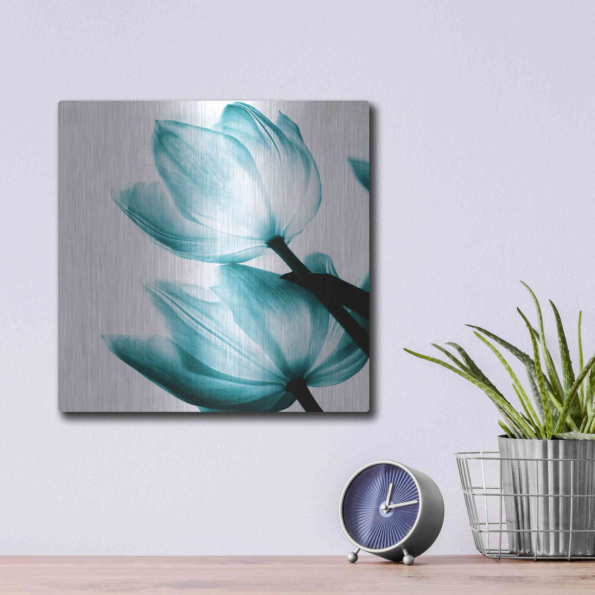 Luxe Metal Art 'Translucent Tulips II Teal' by Debra Van Swearingen, Metal Wall Art,12x12