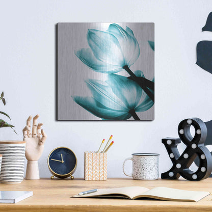 Luxe Metal Art 'Translucent Tulips II Teal' by Debra Van Swearingen, Metal Wall Art,12x12