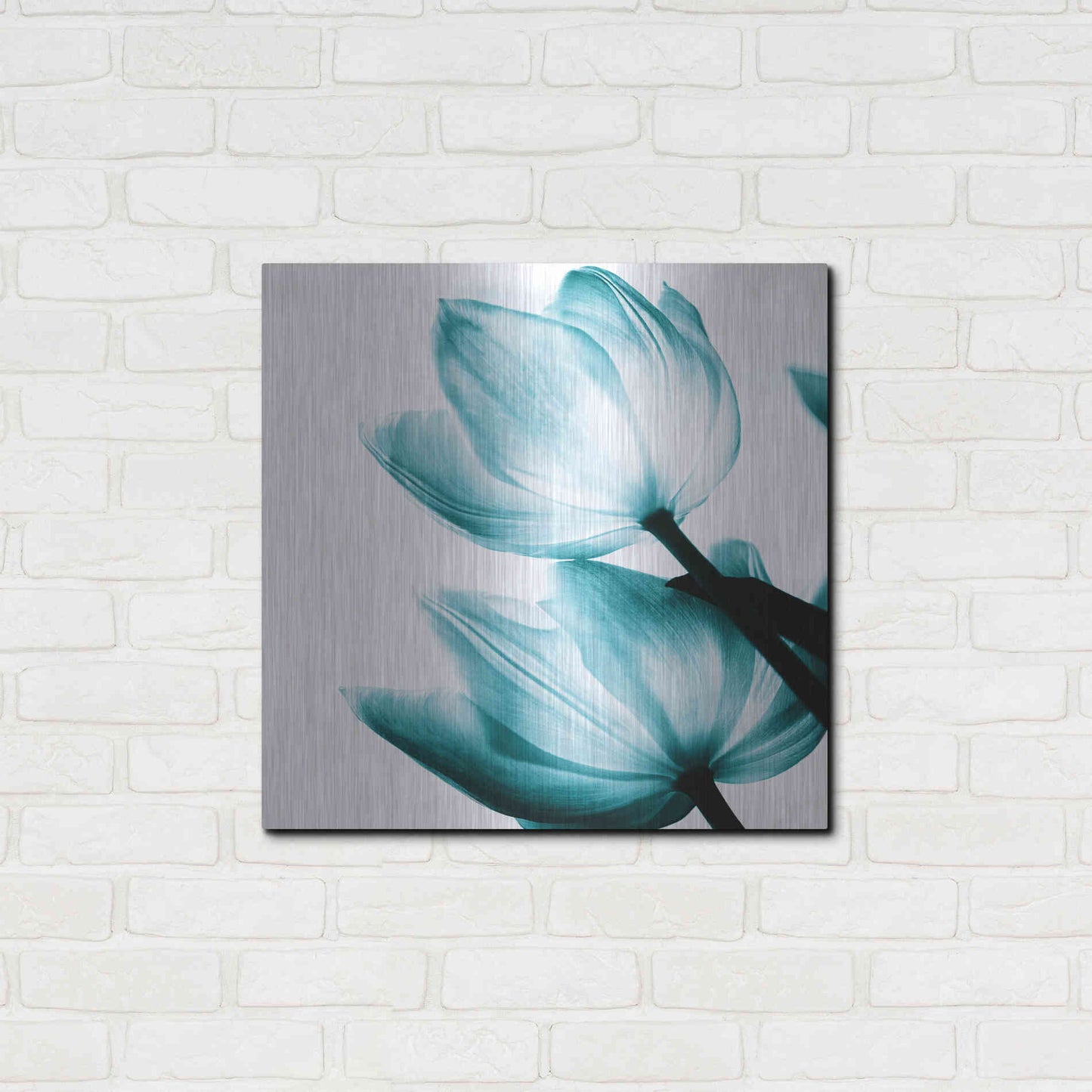 Luxe Metal Art 'Translucent Tulips II Teal' by Debra Van Swearingen, Metal Wall Art,24x24