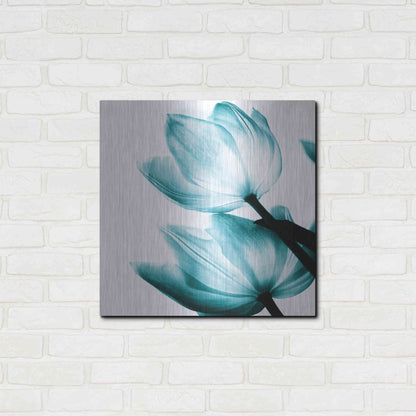 Luxe Metal Art 'Translucent Tulips II Teal' by Debra Van Swearingen, Metal Wall Art,24x24