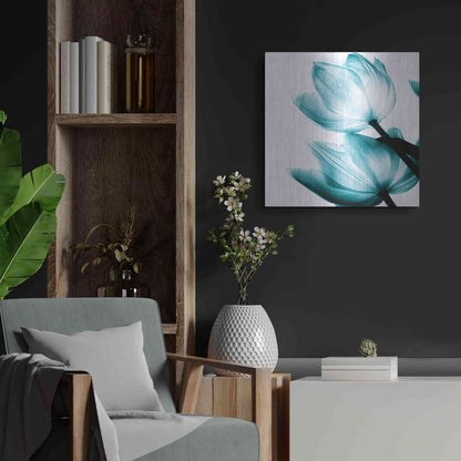 Luxe Metal Art 'Translucent Tulips II Teal' by Debra Van Swearingen, Metal Wall Art,24x24