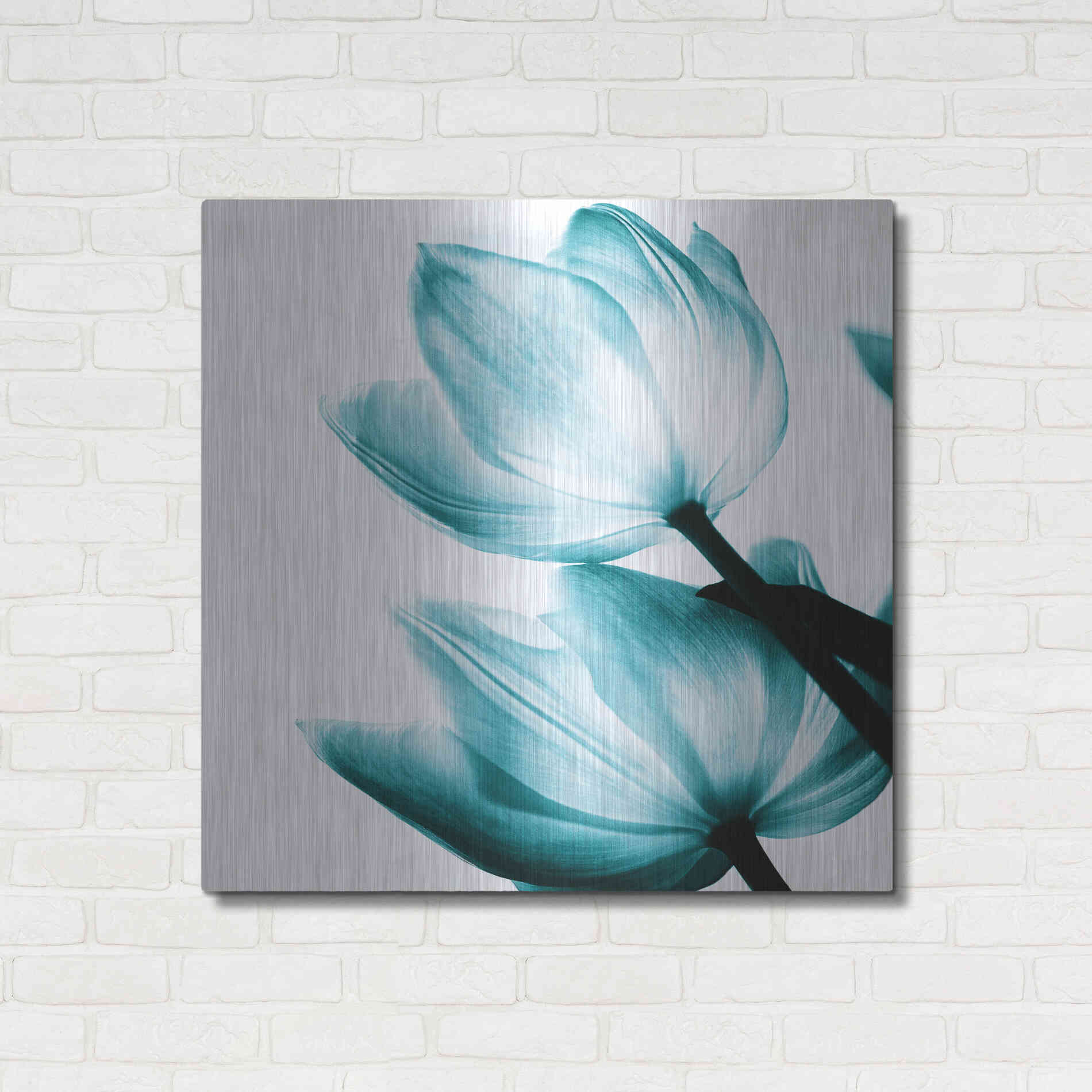 Luxe Metal Art 'Translucent Tulips II Teal' by Debra Van Swearingen, Metal Wall Art,36x36