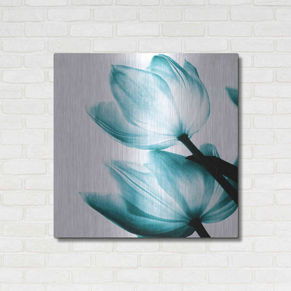 Luxe Metal Art 'Translucent Tulips II Teal' by Debra Van Swearingen, Metal Wall Art,36x36