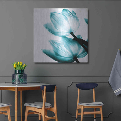Luxe Metal Art 'Translucent Tulips II Teal' by Debra Van Swearingen, Metal Wall Art,36x36