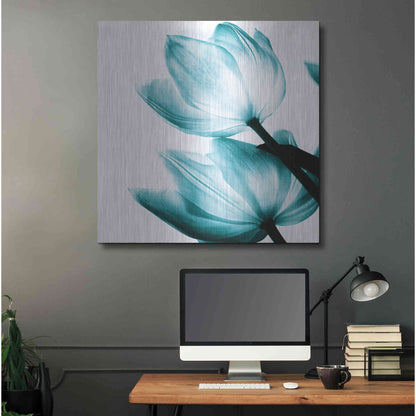 Luxe Metal Art 'Translucent Tulips II Teal' by Debra Van Swearingen, Metal Wall Art,36x36