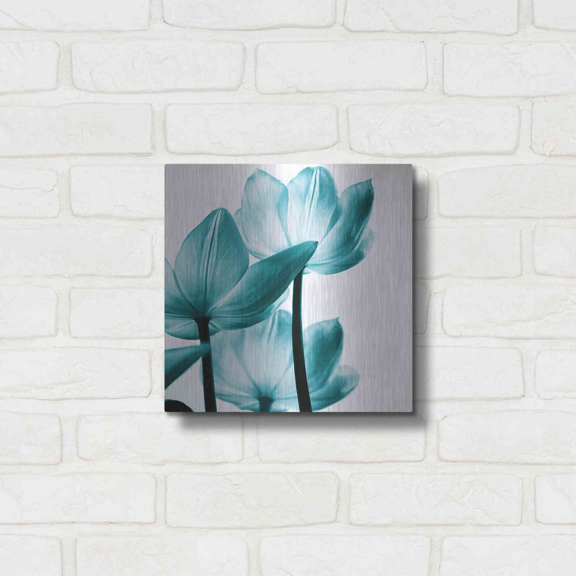Luxe Metal Art 'Translucent Tulips III Teal' by Debra Van Swearingen, Metal Wall Art,12x12