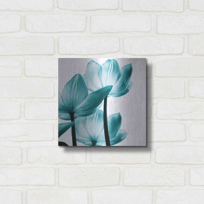 Luxe Metal Art 'Translucent Tulips III Teal' by Debra Van Swearingen, Metal Wall Art,12x12