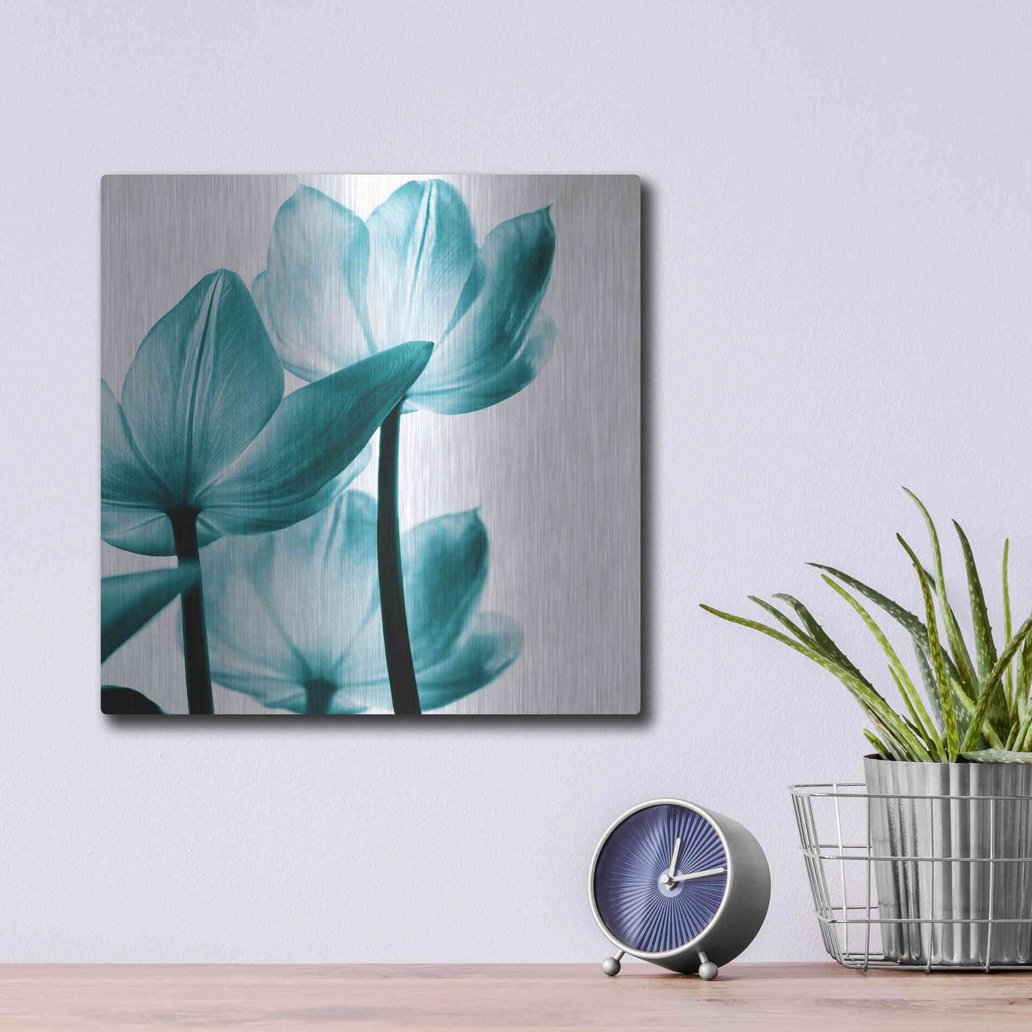 Luxe Metal Art 'Translucent Tulips III Teal' by Debra Van Swearingen, Metal Wall Art,12x12