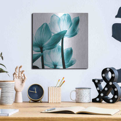 Luxe Metal Art 'Translucent Tulips III Teal' by Debra Van Swearingen, Metal Wall Art,12x12