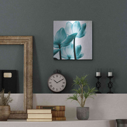 Luxe Metal Art 'Translucent Tulips III Teal' by Debra Van Swearingen, Metal Wall Art,12x12